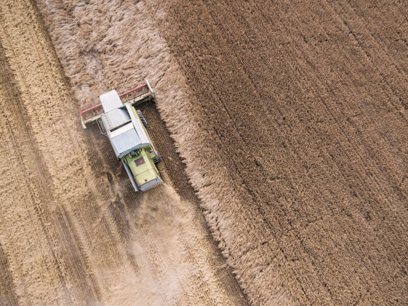 Linguini: Fantastic Restaurant WordPress Theme